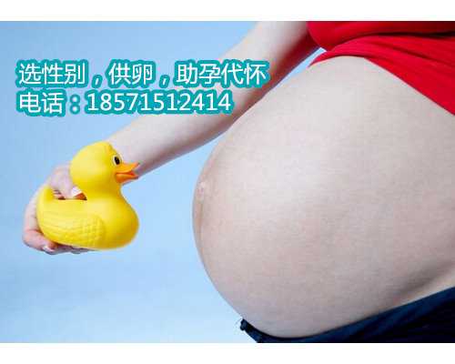 上海助孕专业机构,备孕二胎老怀不上