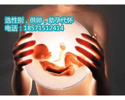 上海助孕机构哪家专业,高龄产妇