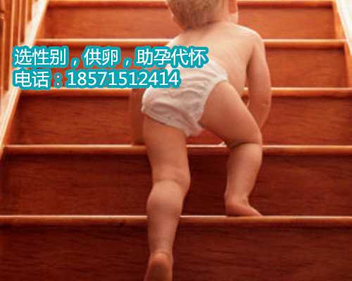 上海助孕几率是多少,为什么无创对试管婴儿不准