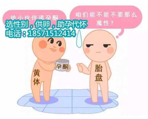 上海助孕机构在哪里,如何用自然方法提高试管婴儿成功率