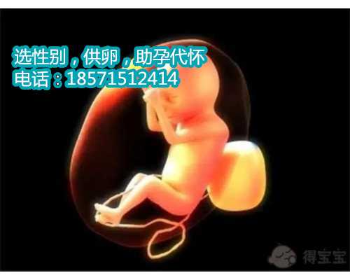 包性别上海助孕地址,试管婴儿能很快成功怀孕吗