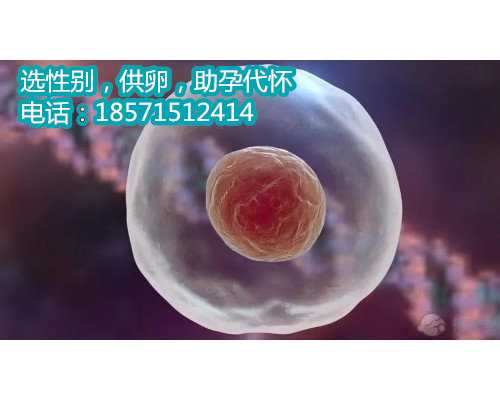 上海助孕最好医院,32岁阚清子考虑冷冻卵子