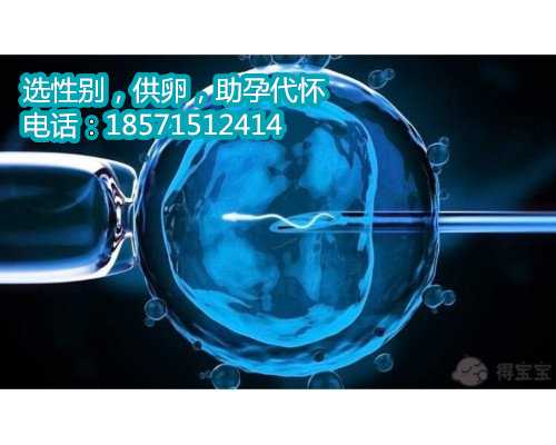 上海助孕成功率有多少,做试管婴儿囊胚培养失败的原因在哪