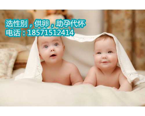 上海助孕微信咨询,亲密接触,久久揭晓怀孕时饮食计划！