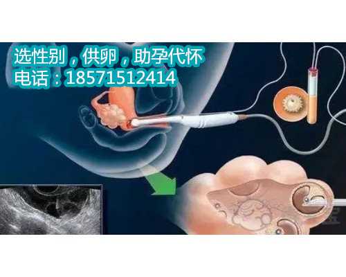 上海助孕成功率最高,丧失性趣的年轻人