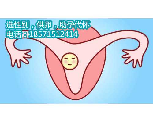 2022上海助孕一个小孩多少钱,女性备孕最佳时间介绍