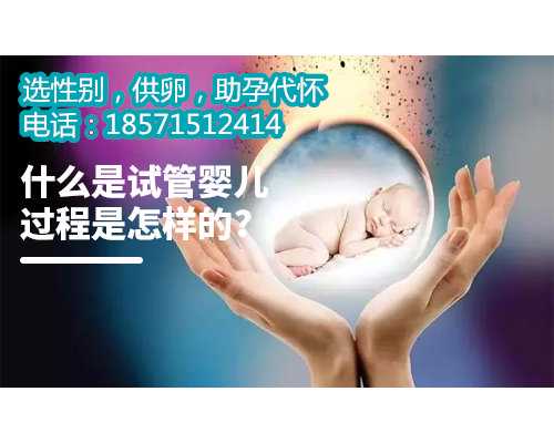 上海助孕包生儿子,贵州试管婴儿做一次多少钱