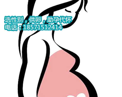 上海助孕代生价格,美国试管婴儿如何保胎