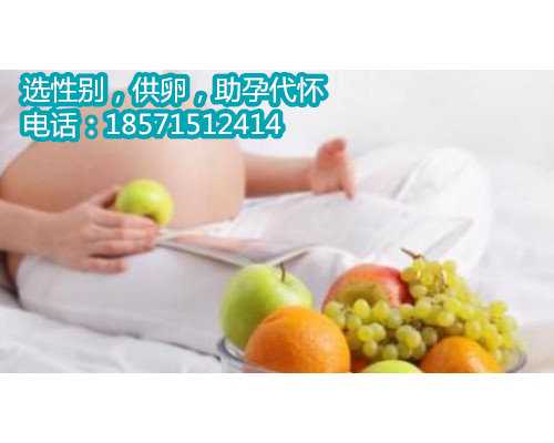 上海助孕医院服务,做试管婴儿前