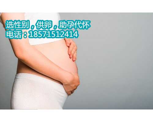 上海助孕捐卵机构,俄罗斯试管价格一般是多少