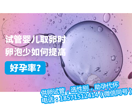 上海助孕哪家中介靠谱,胚胎移植数量是越多越好吗