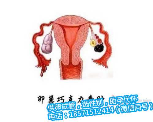 上海助孕成功率高么,泰国试管婴儿成功率怎么样