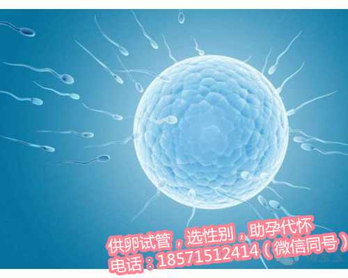 上海助孕试管机构,每个人都有自己的理由:人工授精和试管婴儿哪个更好