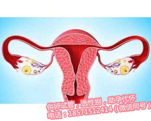 上海助孕可以龙凤胎吗,输卵管性不孕的预防