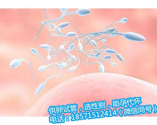 上海助孕中心有做过吗,出生医学证明办理流程