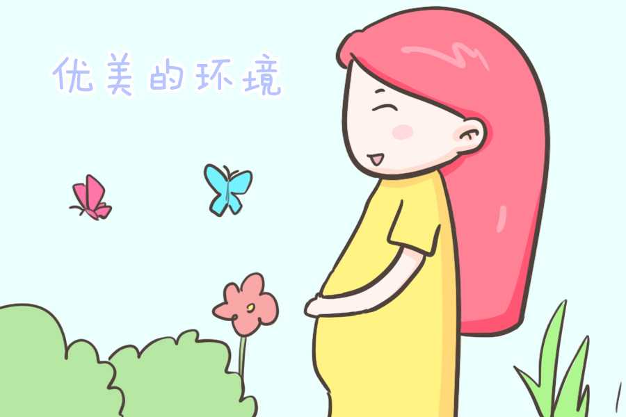 上海助孕代妈价格表,女人到了多少岁还具备生育能力
