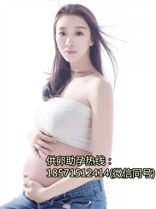上海助孕咨询网,美国试管婴儿成功率