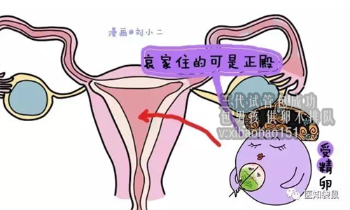 添宝儿助孕公司,四川省妇幼保健院
