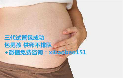 上海代生一孩子多少钱_试管婴儿促排之前有个试移植