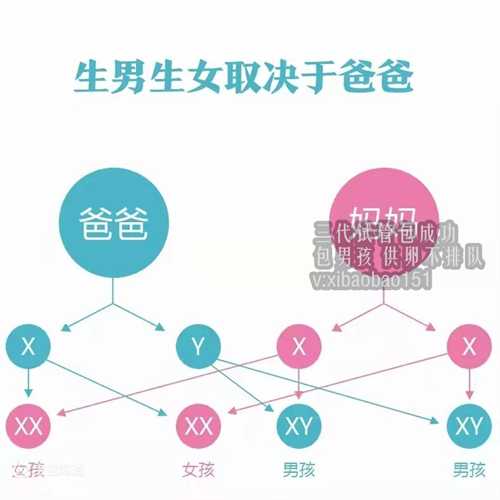 上海供卵试管亲身经历记录_2019年，女子被诊断出乳腺癌，丈夫：你又不能生孩