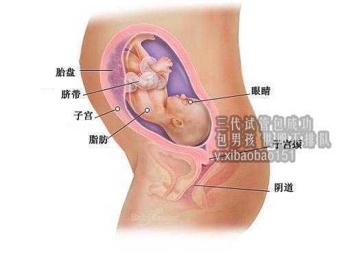 上海助孕是怎么样的,泰国试管婴儿没有成功还要收费吗