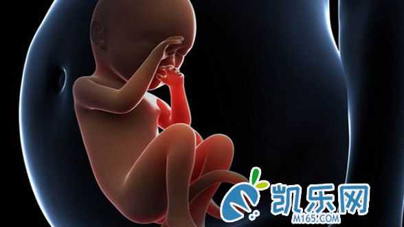 上海助孕哪里放心,金华第三代试管婴儿成功率高吗