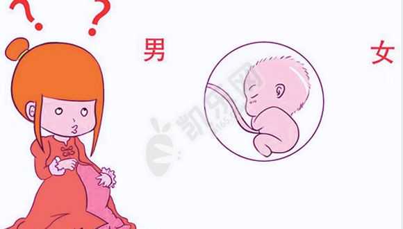 上海助孕医院的流程,空孕囊与胚胎停育