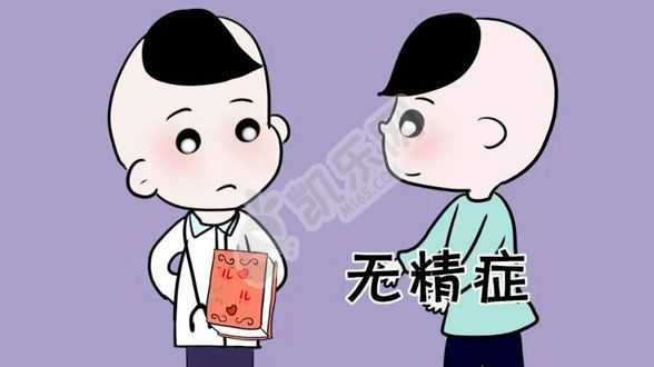 上海助孕免费咨询,试管婴儿前期的第一步三大调理方式!