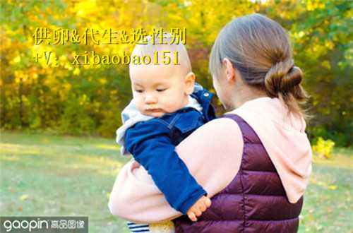上海助孕产子公司在哪里,美国试管婴儿二代费用