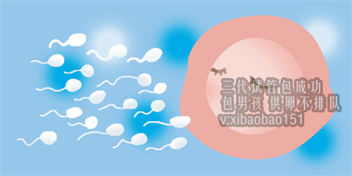 上海助孕怎么取卵,干货分享-分分钟带你了解做试管婴儿全流程