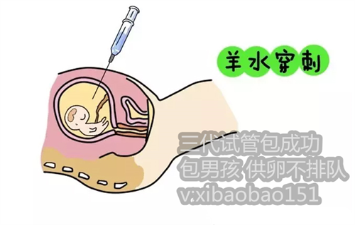 上海助孕产子公司电话,试管婴儿问题大全让你清楚一切