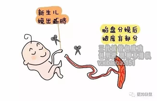 上海助孕付费是否合法,试管婴儿技术助孕好孕策略get起来